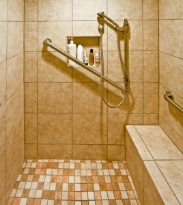 Handicap Shower System 2